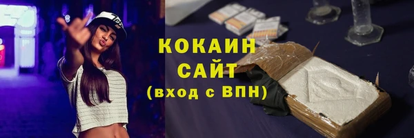 соль ск Алексин