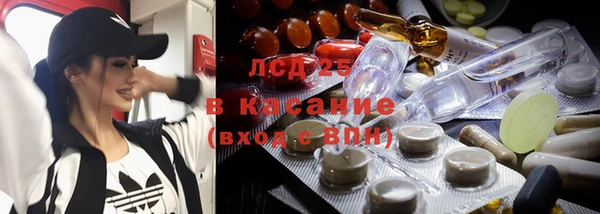 соль ск Алексин