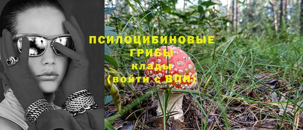хмурый Алексеевка