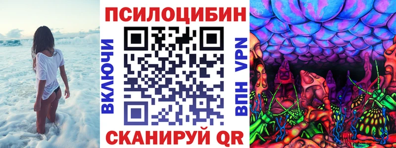 Псилоцибиновые грибы Cubensis  купить закладку  Бердск 