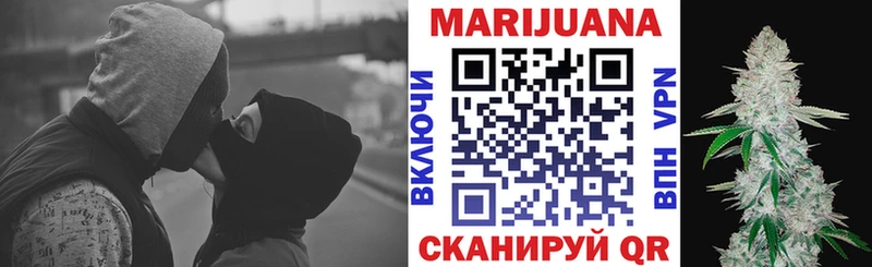 наркота  Бердск  Шишки марихуана сатива 